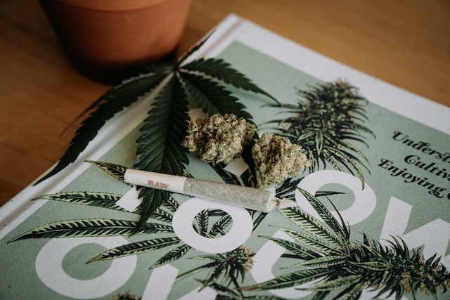 Building a Strong Brand Identity for Your Medical Marijuana Business Online
